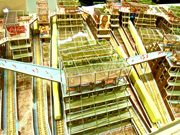 受賞作品『Indian Sky Railway Bazaar』