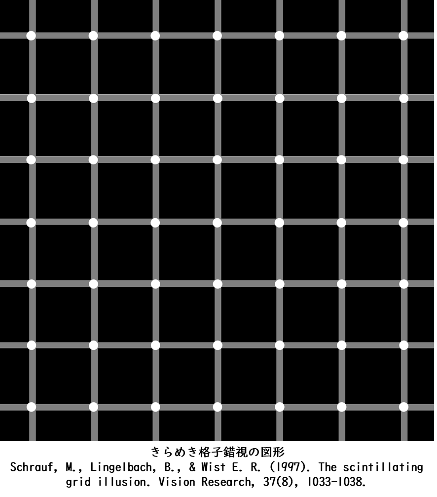「きらめき格子錯視における異方性」