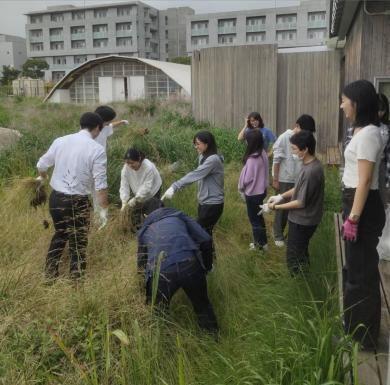畑開墾作業の様子